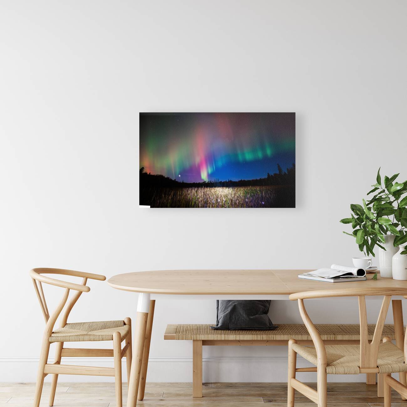 ZJS 8404  Reproduction