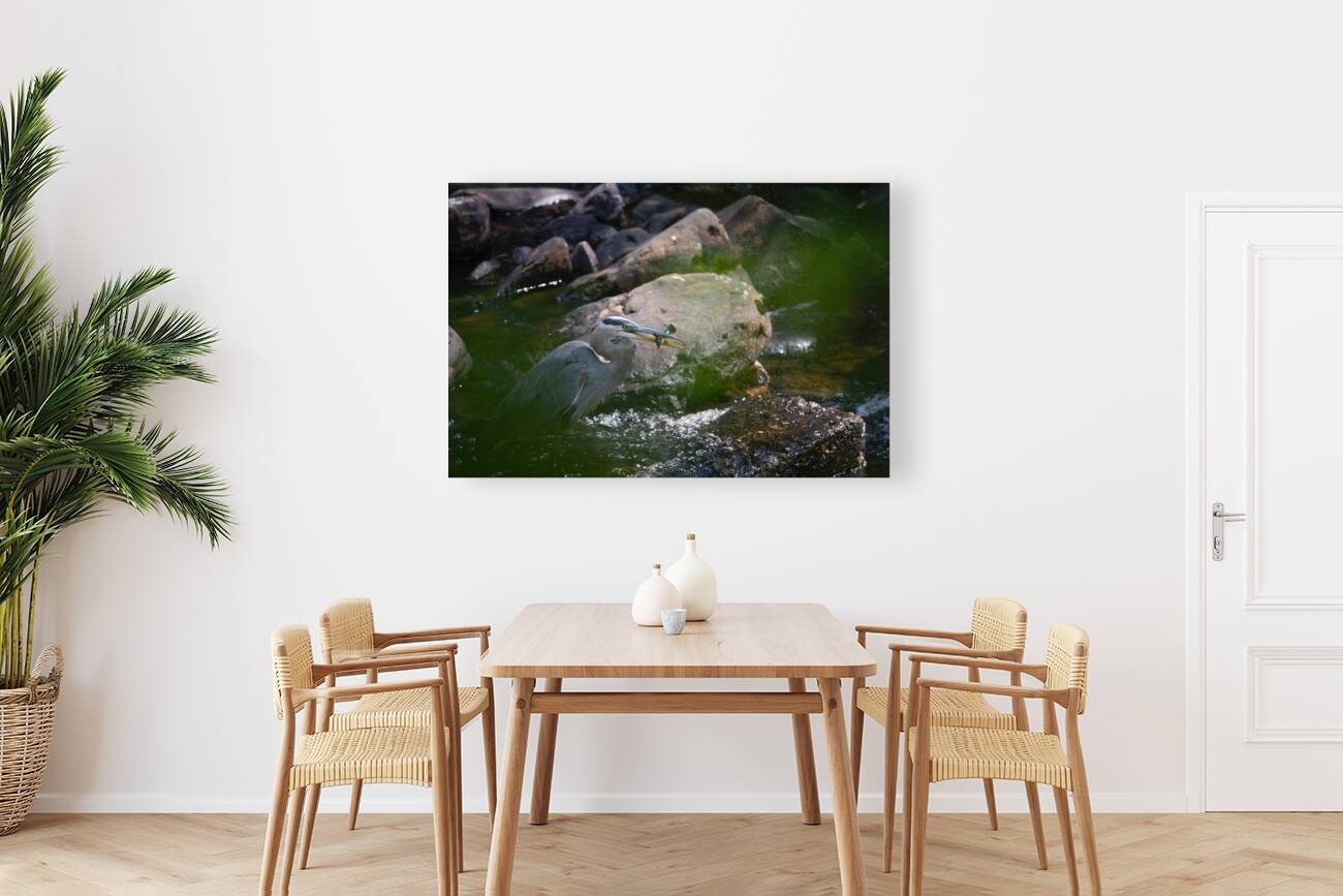 JBS 3491 2 Reproduction