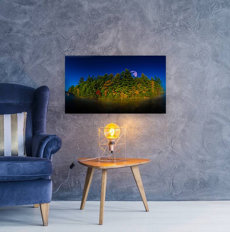 JBS 4806  Reproduction