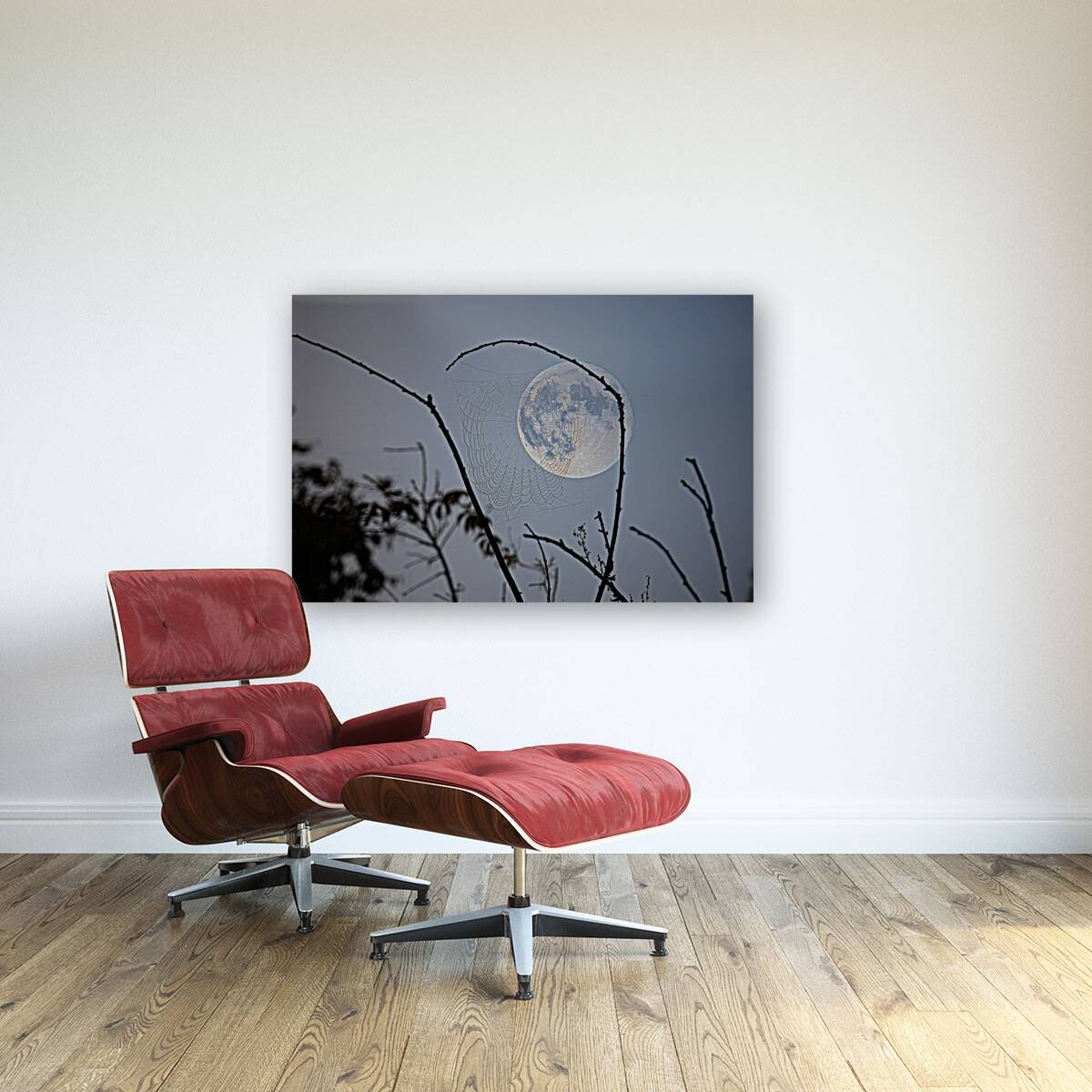 ZJS 8305  Reproduction