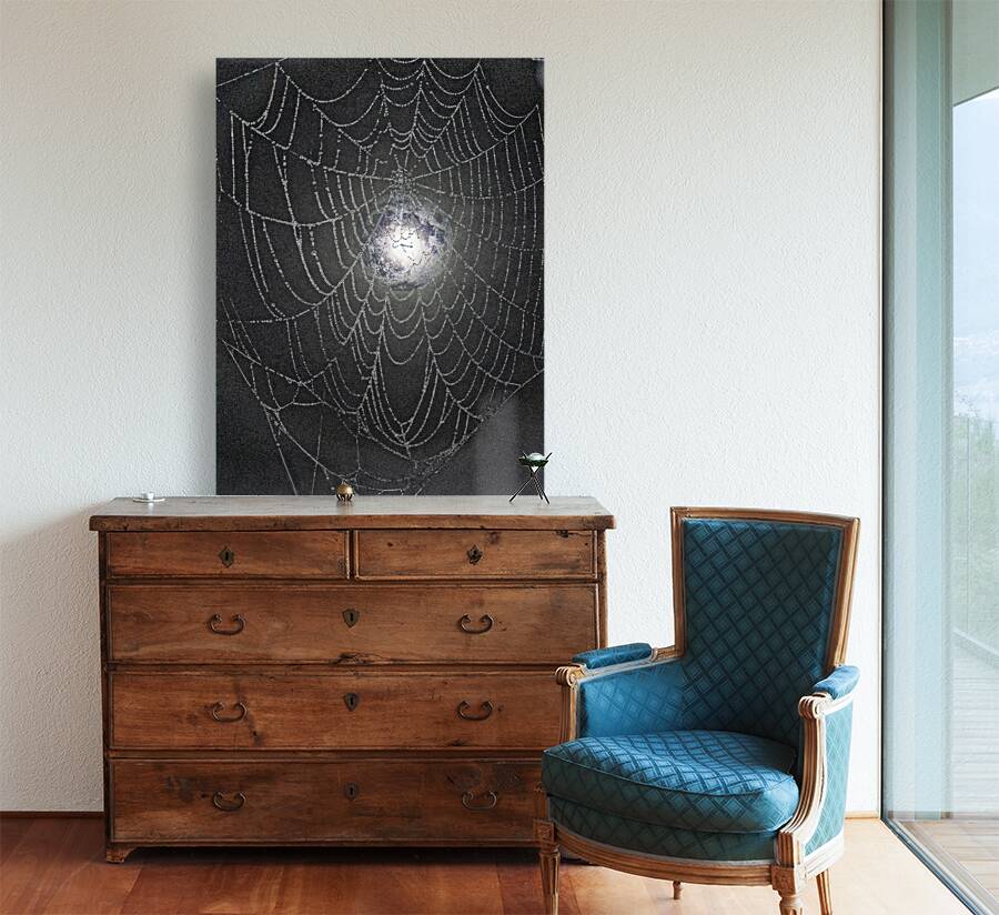 ZJS 8300  Reproduction