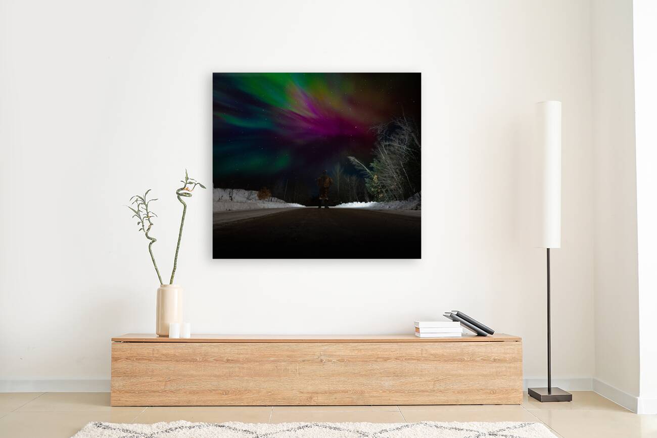 JBS 3609  Reproduction