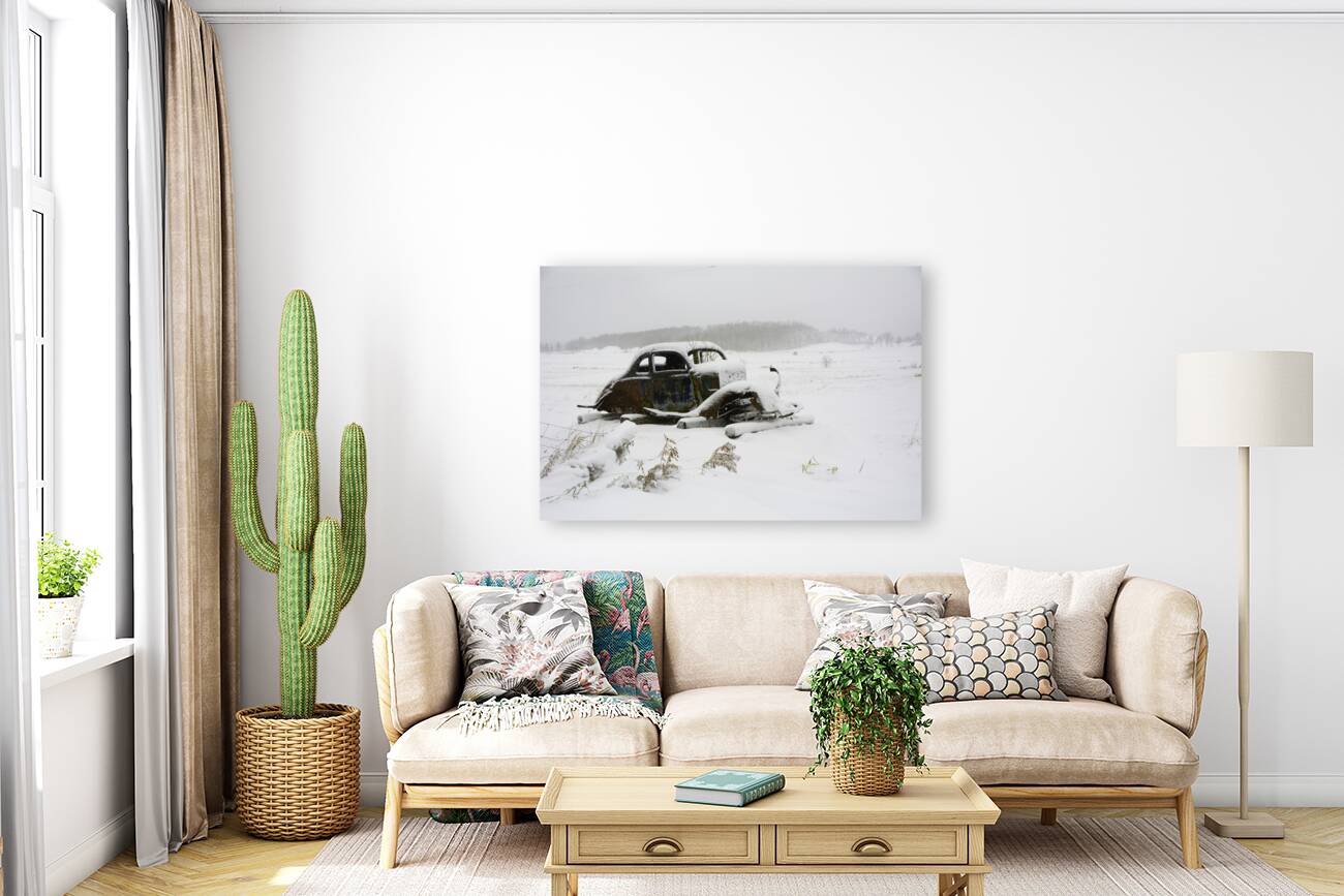 JBS 5025 Reproduction