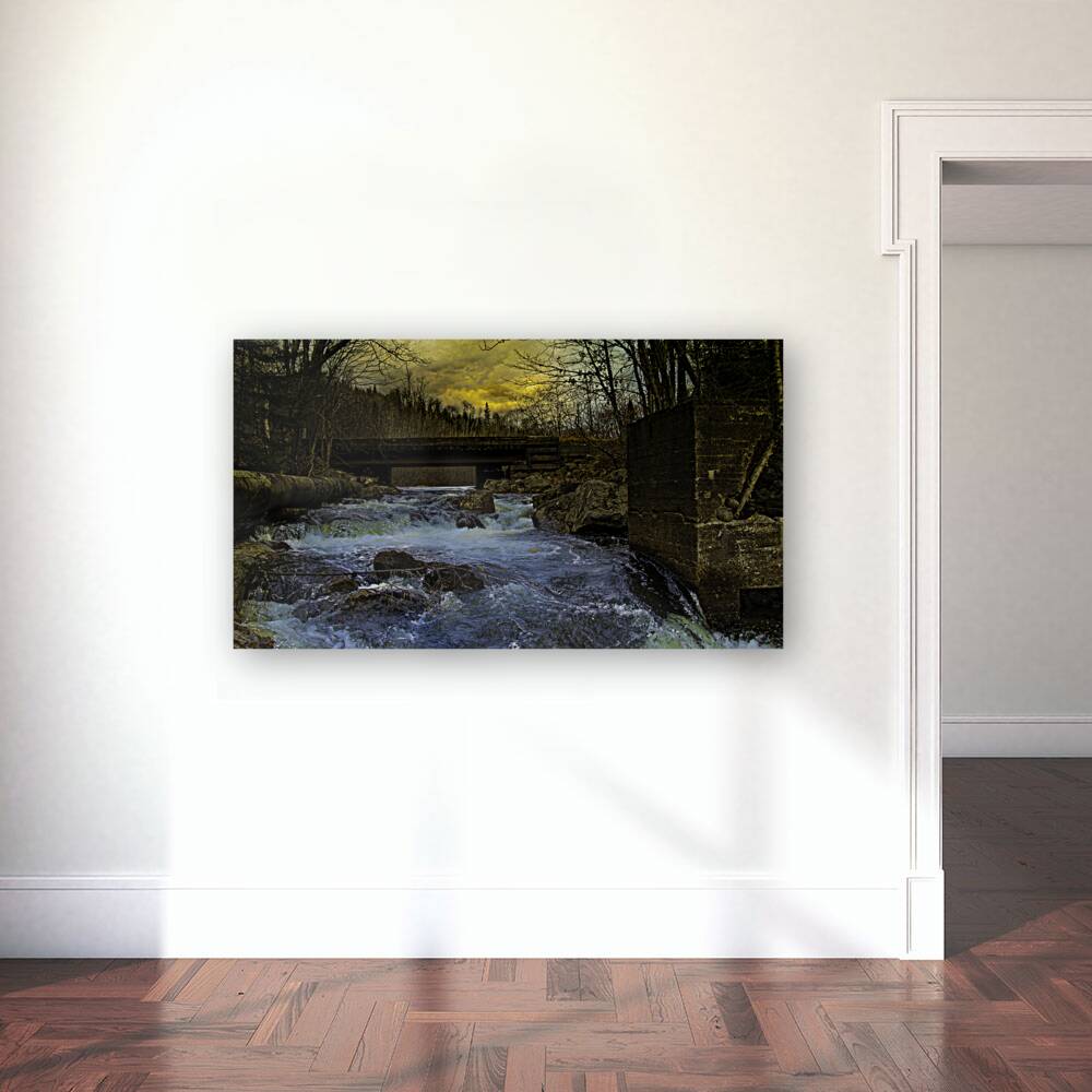 JBS 9699  Reproduction