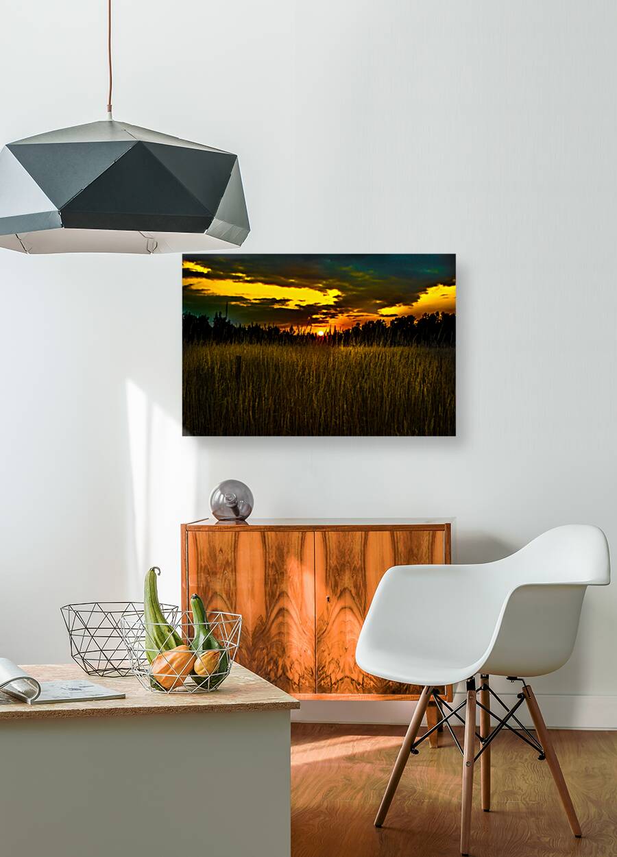 JBS 5786 Reproduction