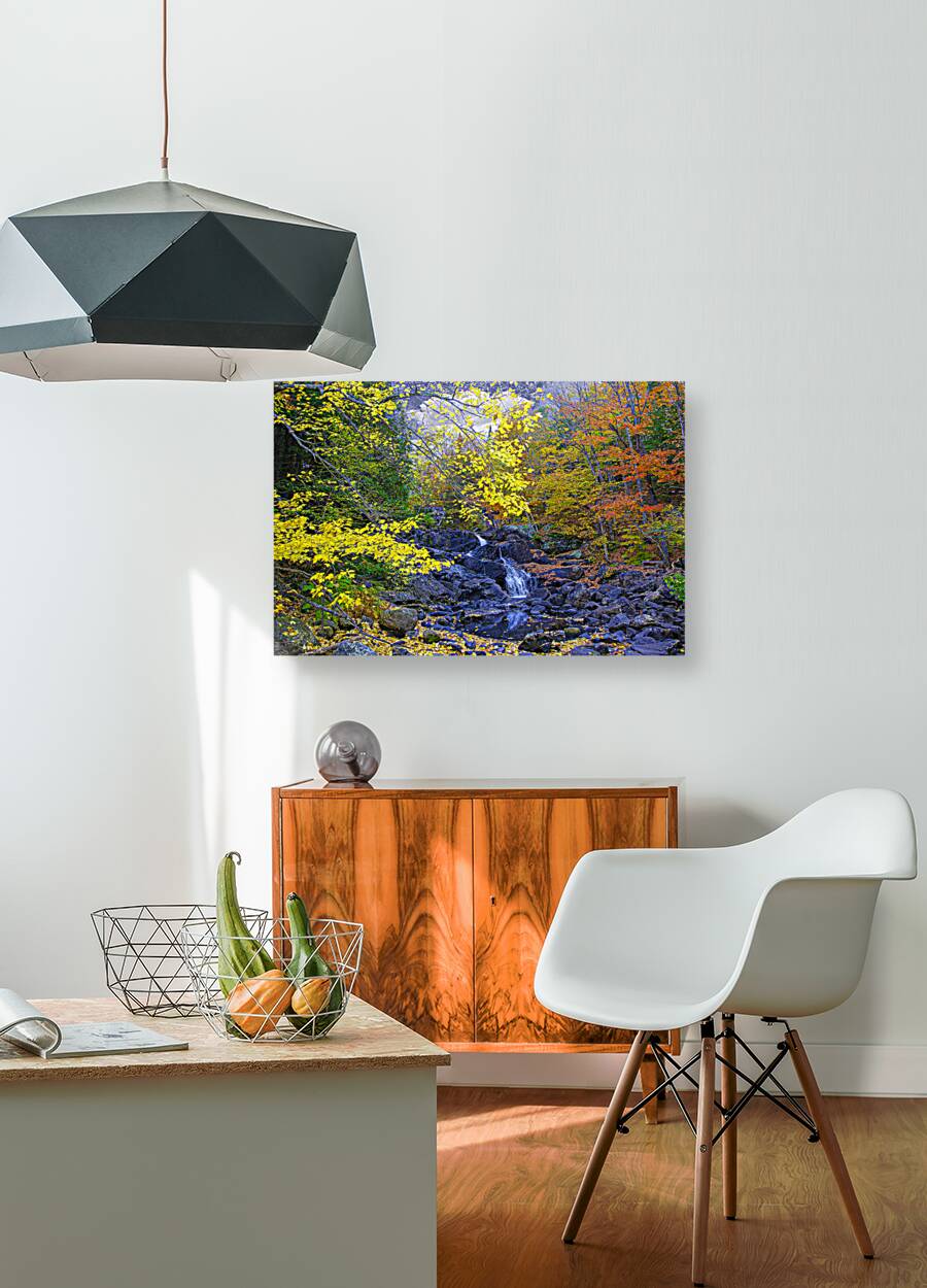 ZJS 5787  Reproduction