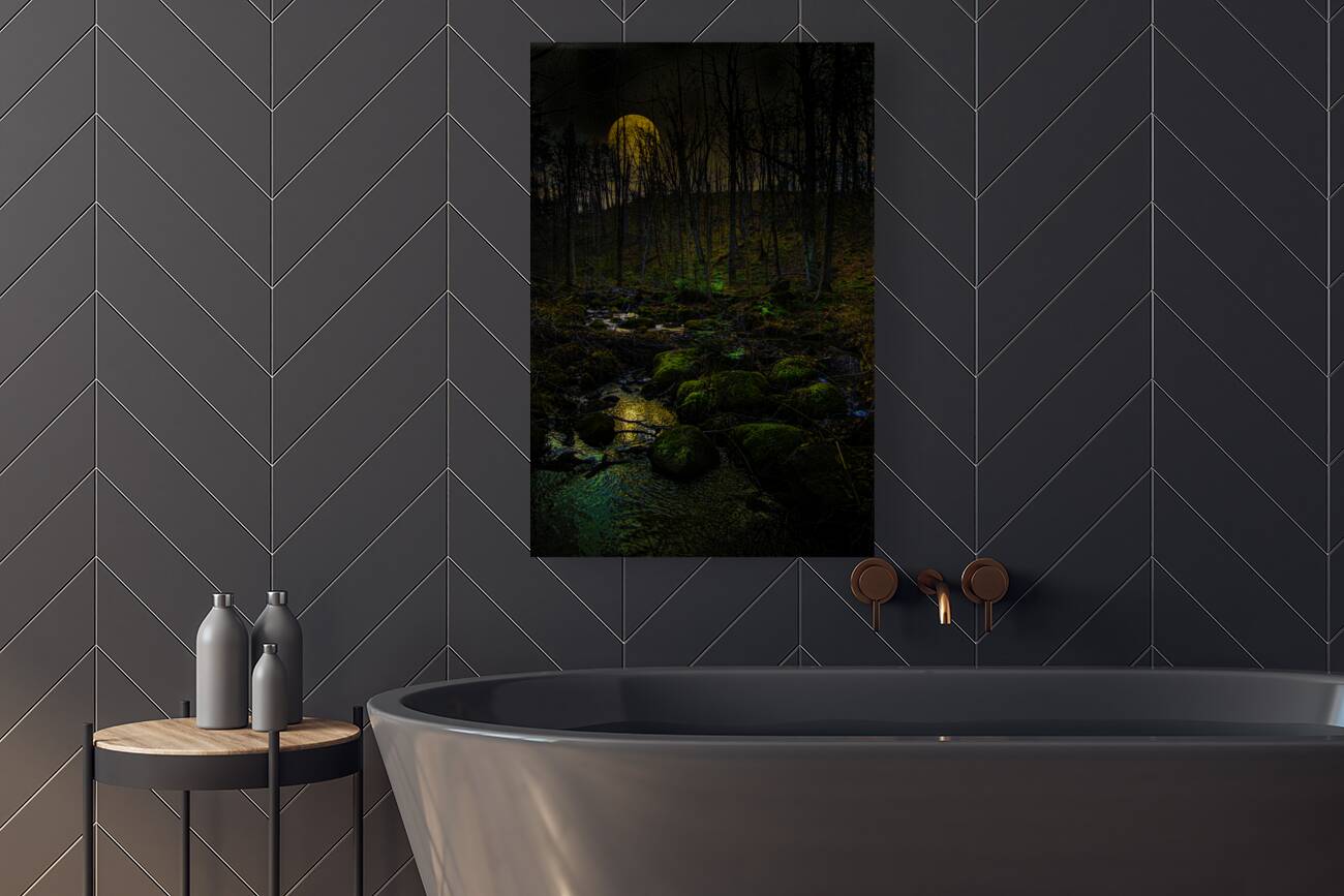 JBS 9682  Reproduction