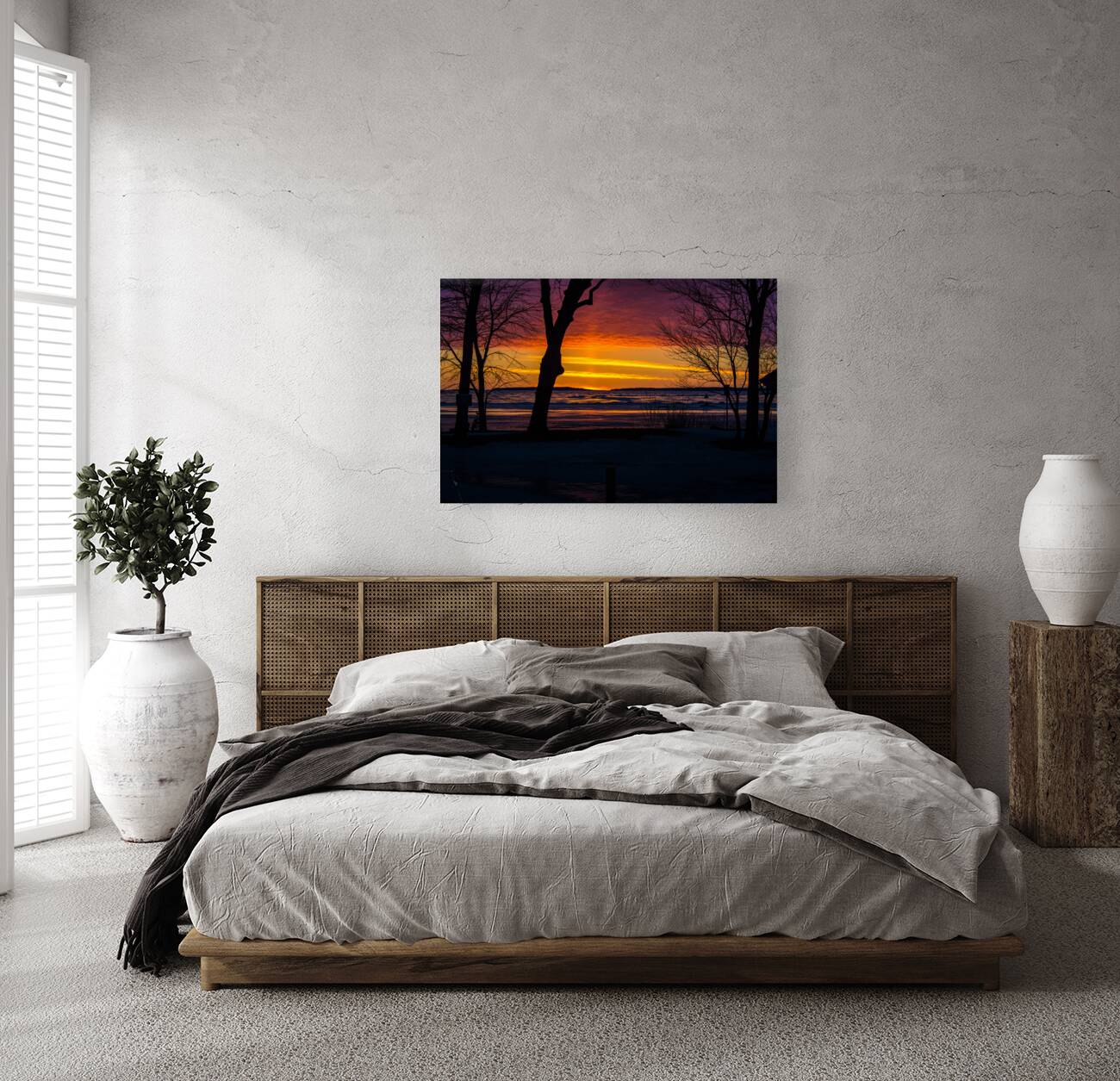 JBS 9799 Reproduction