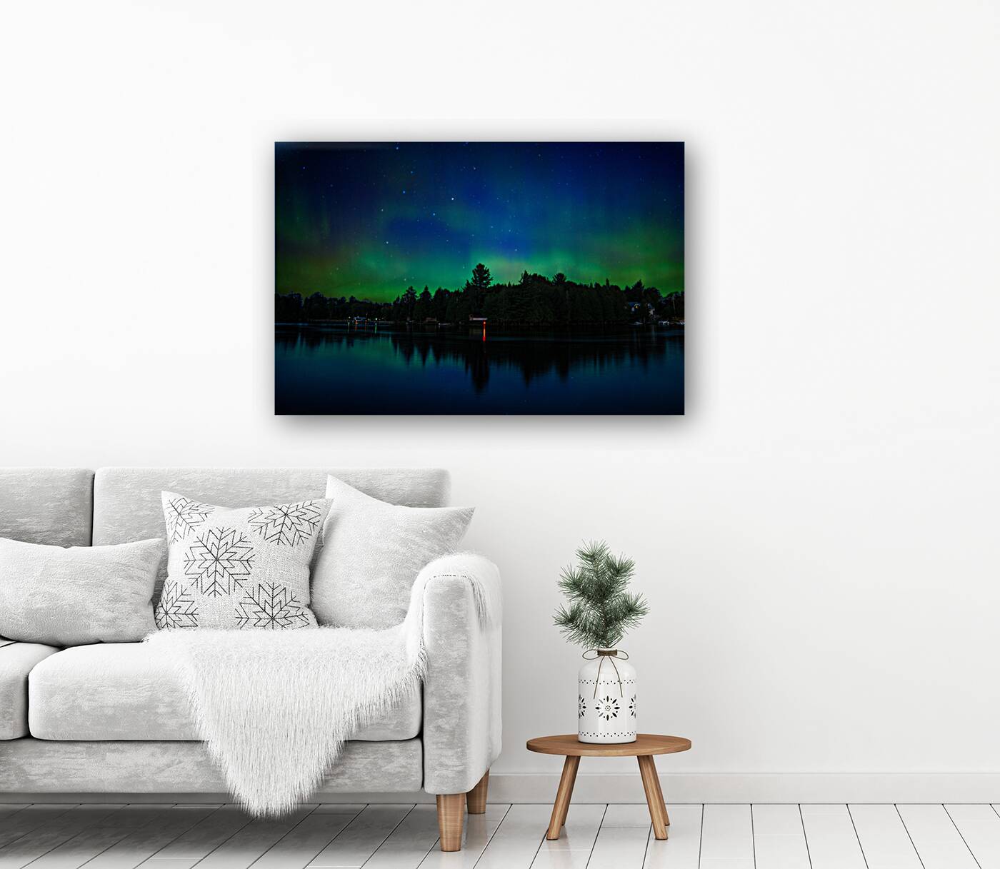 JBS 3479  Reproduction