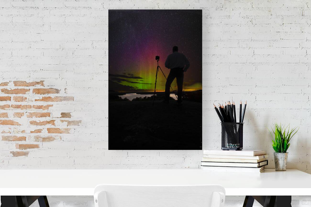 JBS 3549 Reproduction