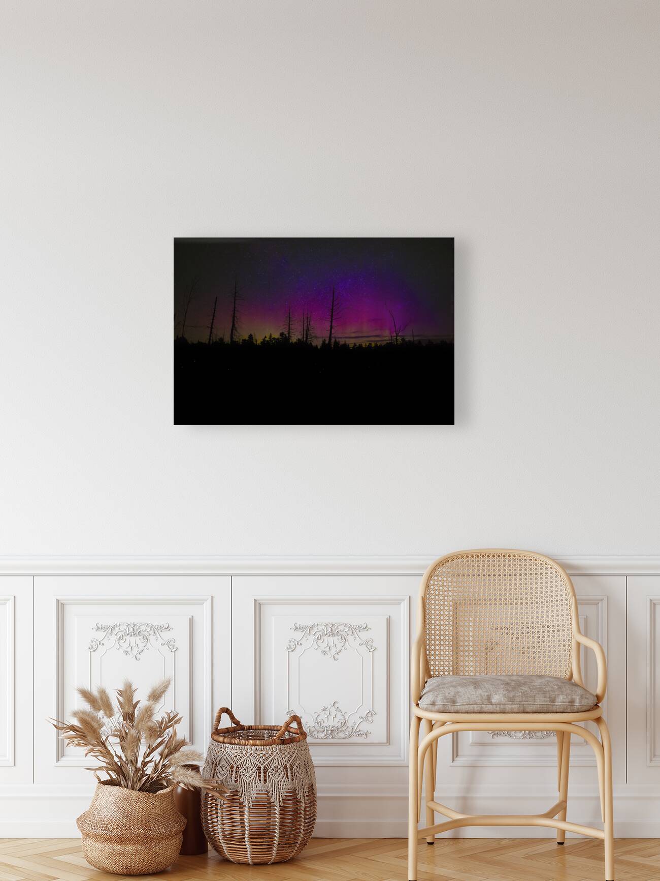 JBS 1467 Reproduction