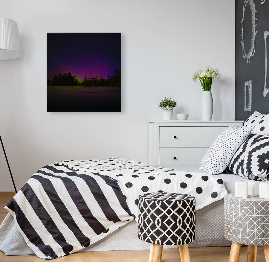 JBS 0554  Reproduction