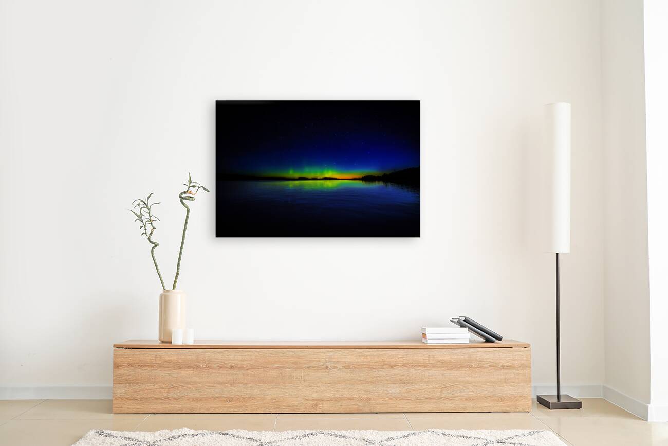 JBS 2454  Reproduction