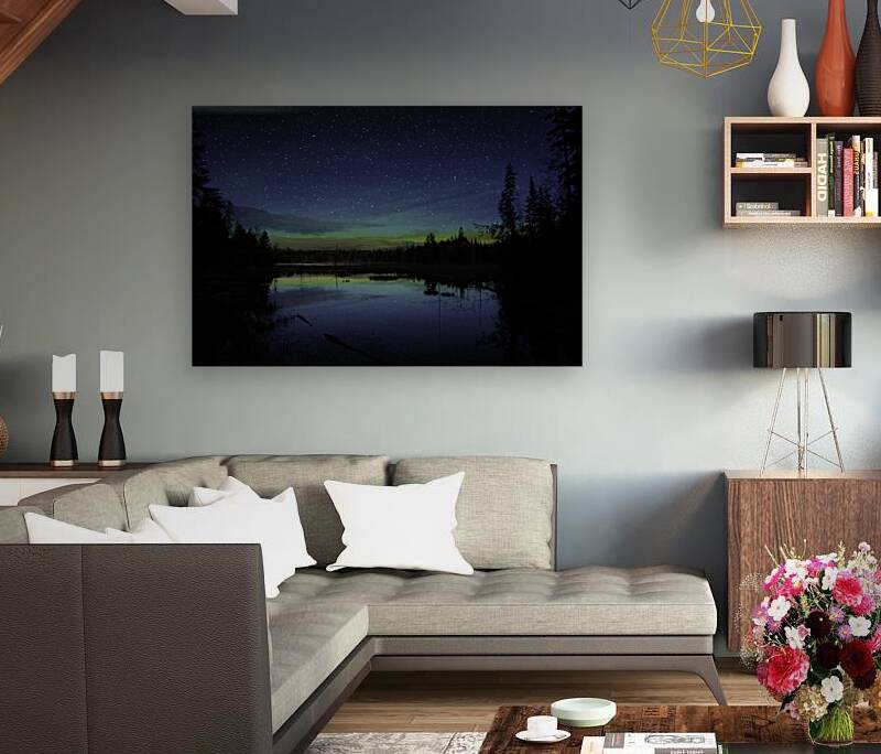 JBS 4801 Reproduction