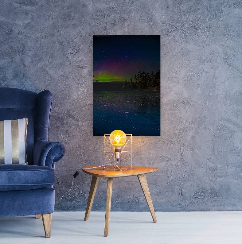 JBS 5063 Reproduction