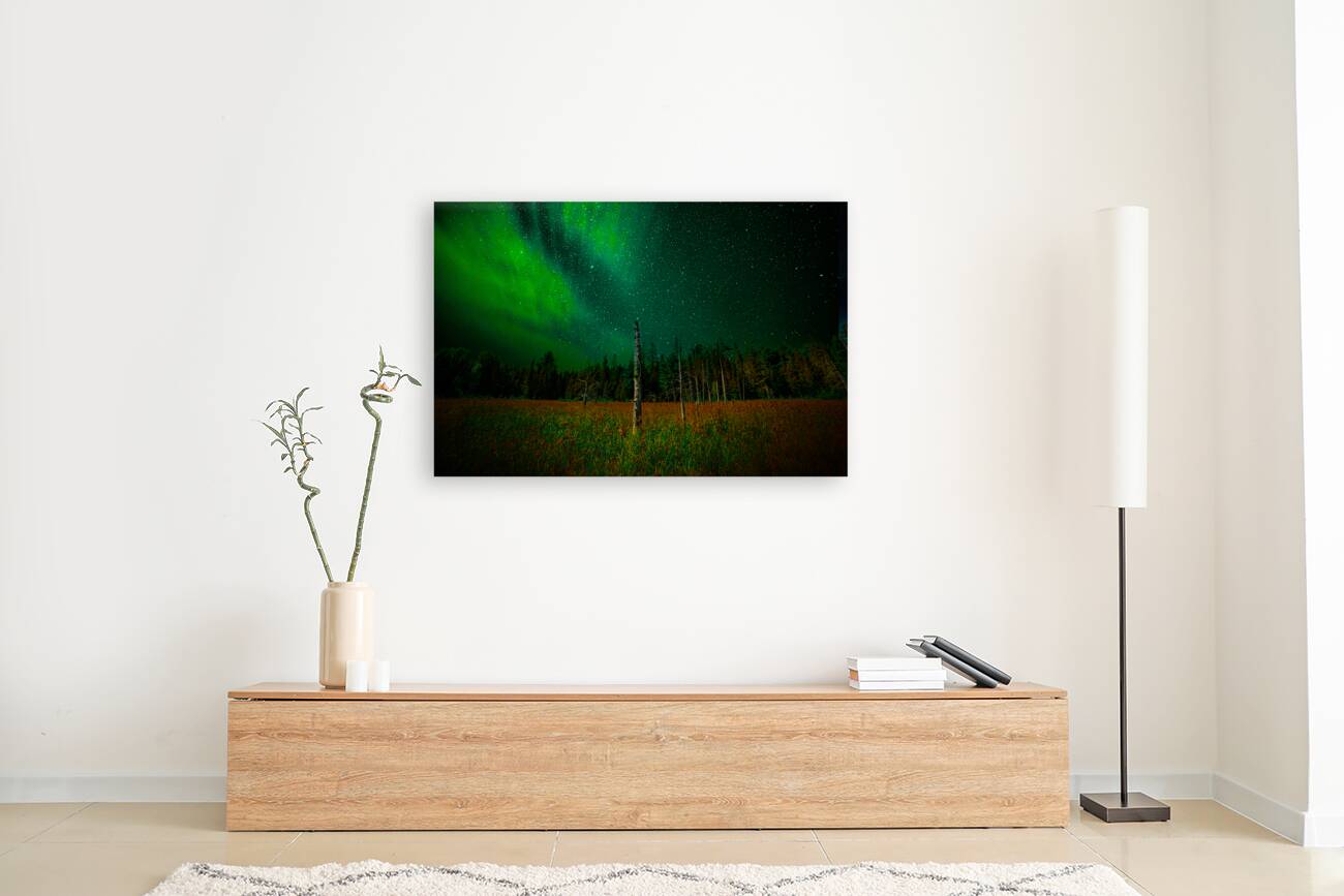 DSC 2076  Reproduction