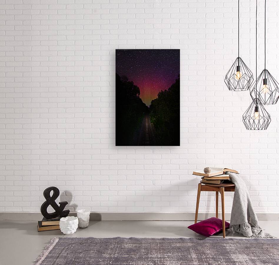 DSC 1684  Reproduction