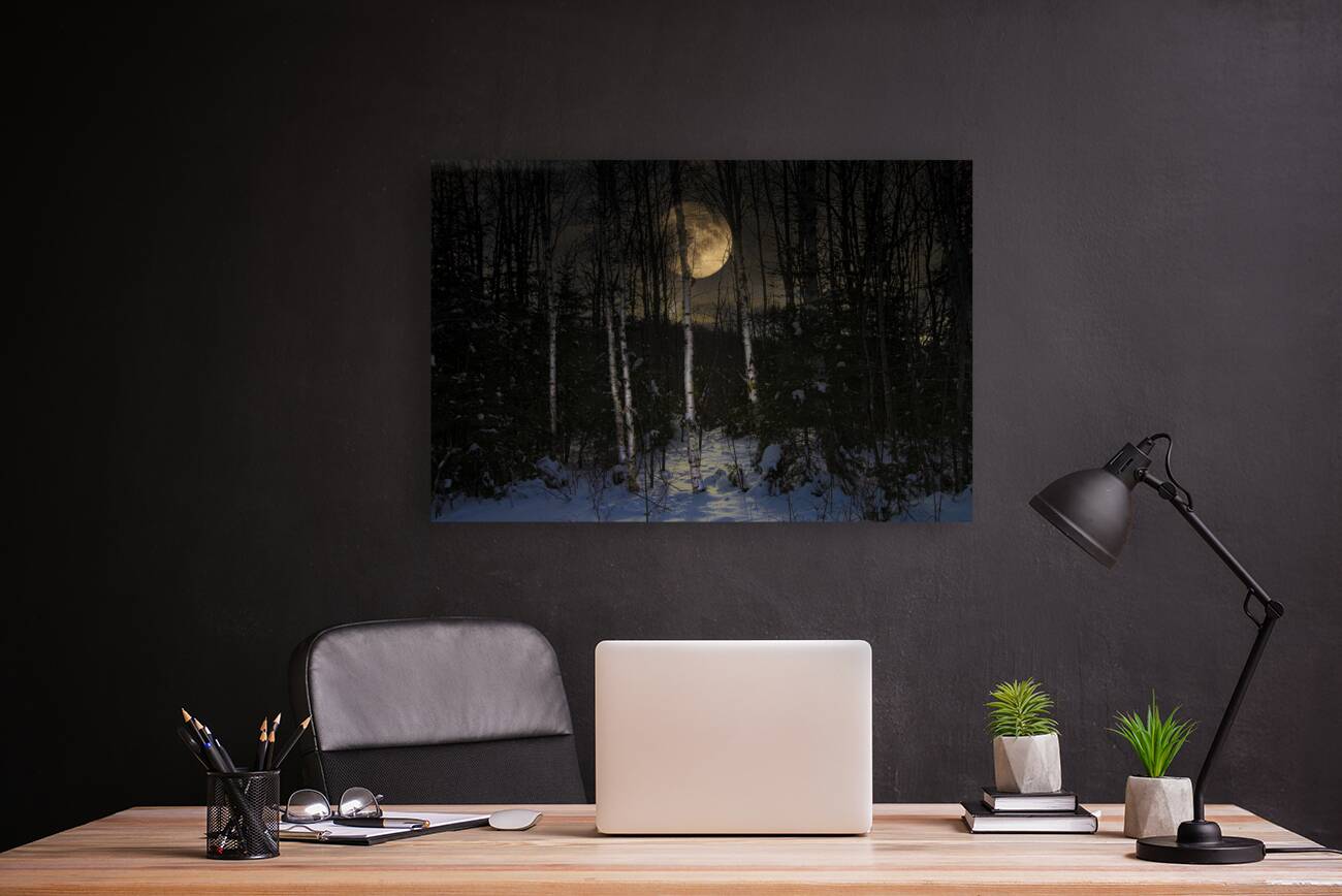 JBS 9973  Reproduction