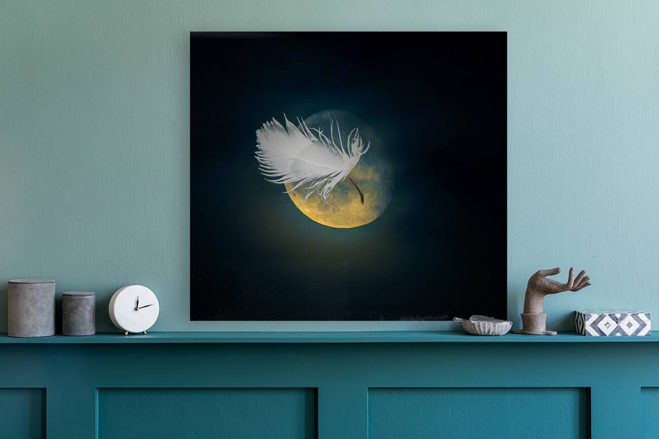 JBS 3024  Reproduction