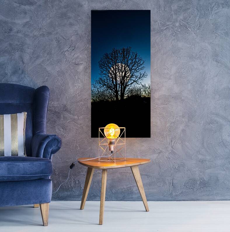 JBS 0046  Reproduction