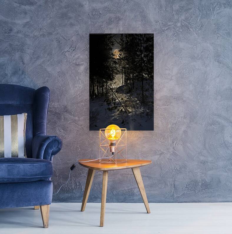 JBS 8757  Reproduction