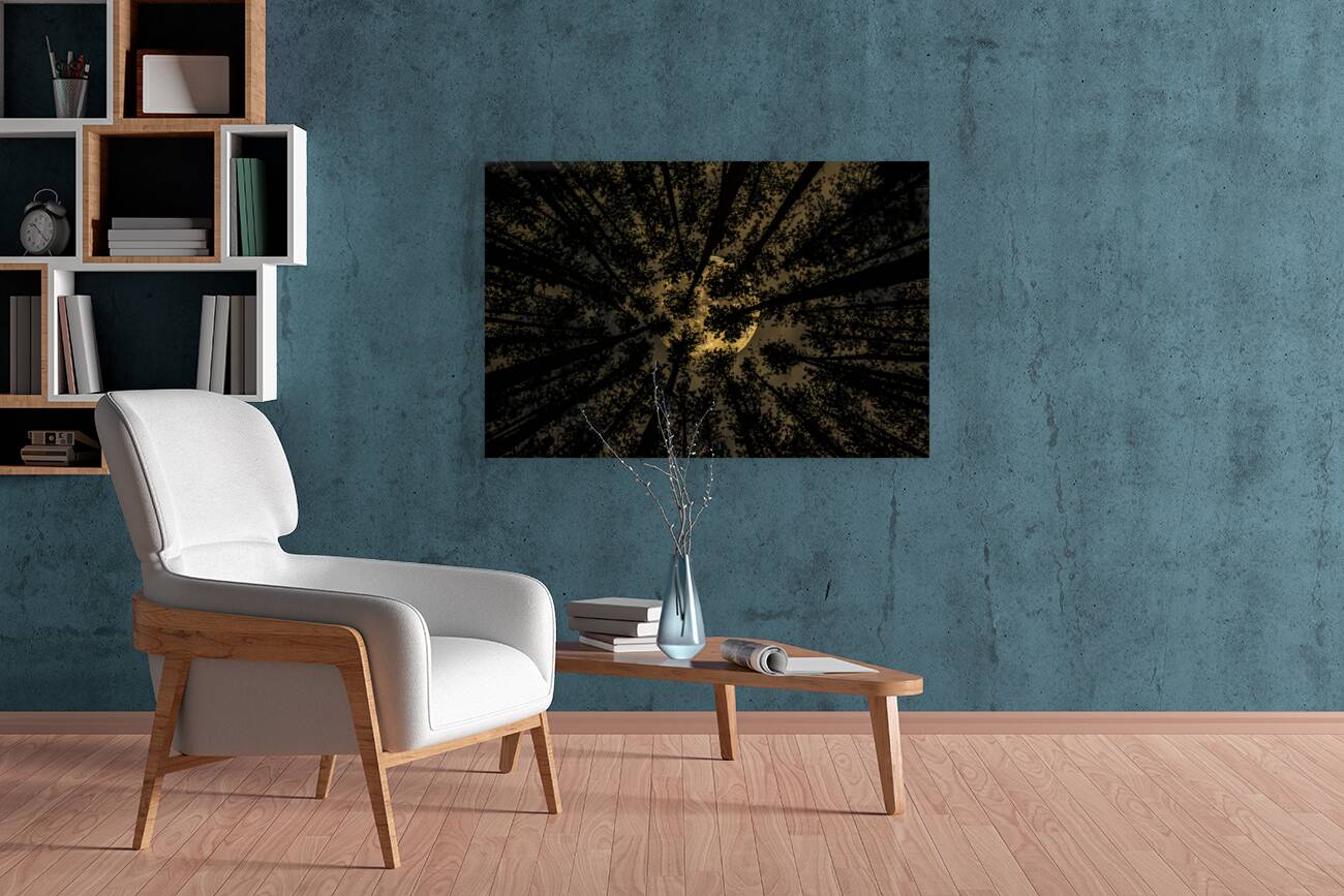 JBS 5549  Reproduction