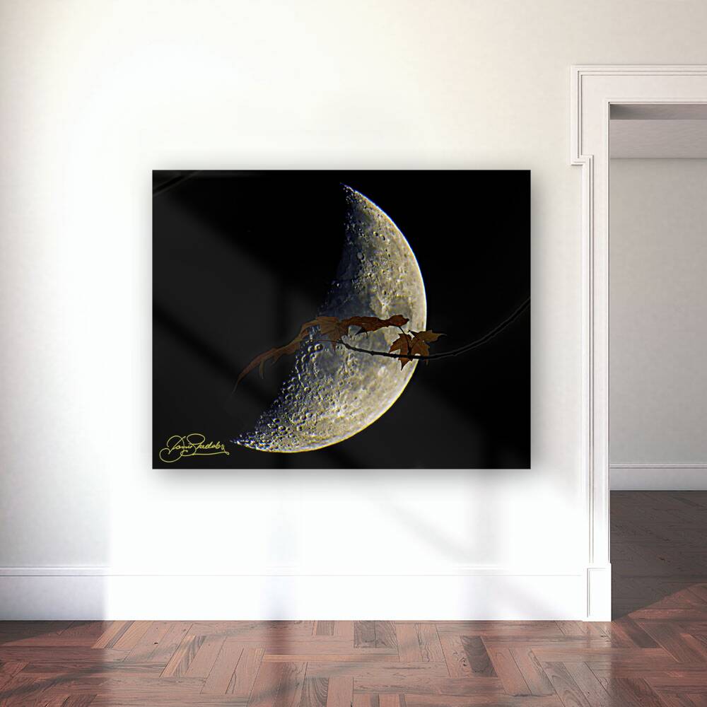 JBS 3686  Reproduction