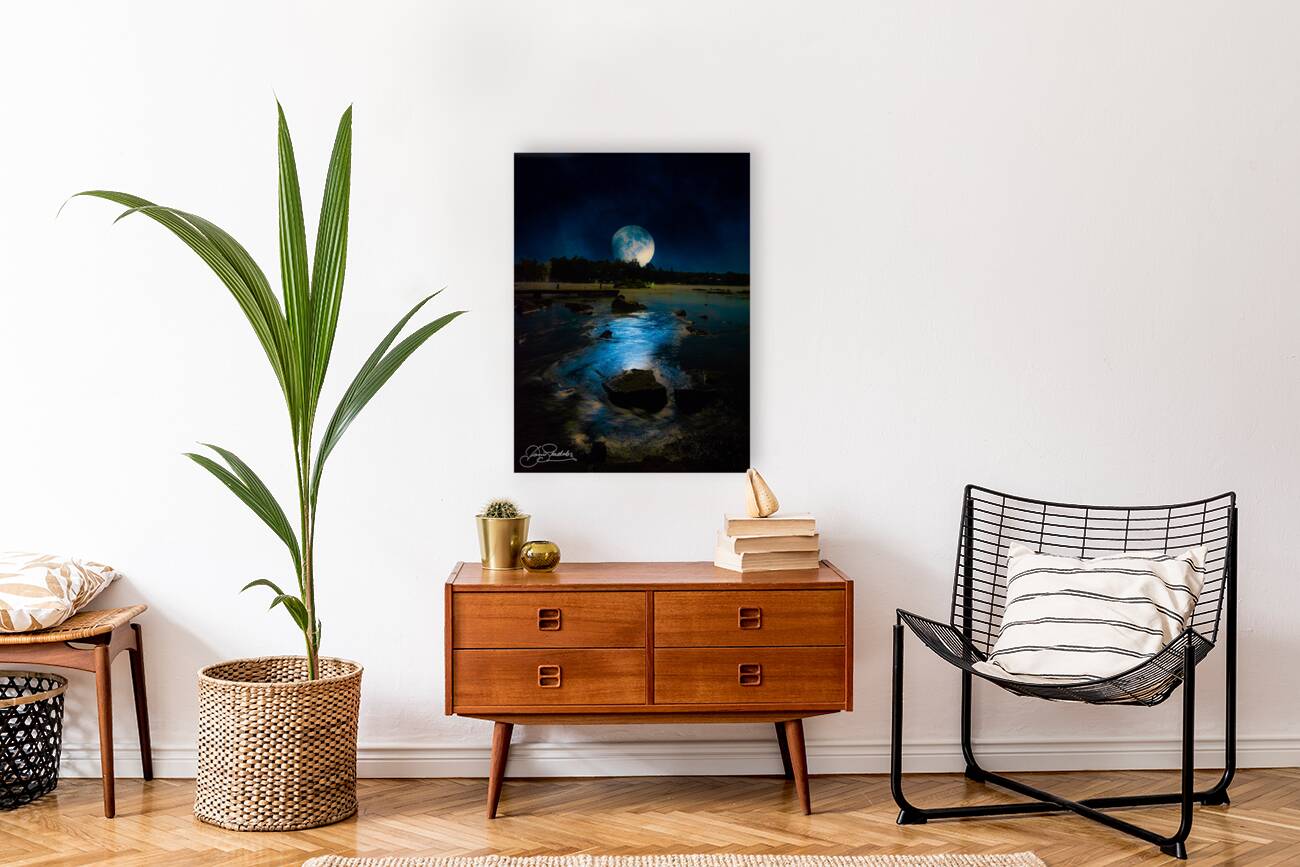 JBS 4708  Reproduction