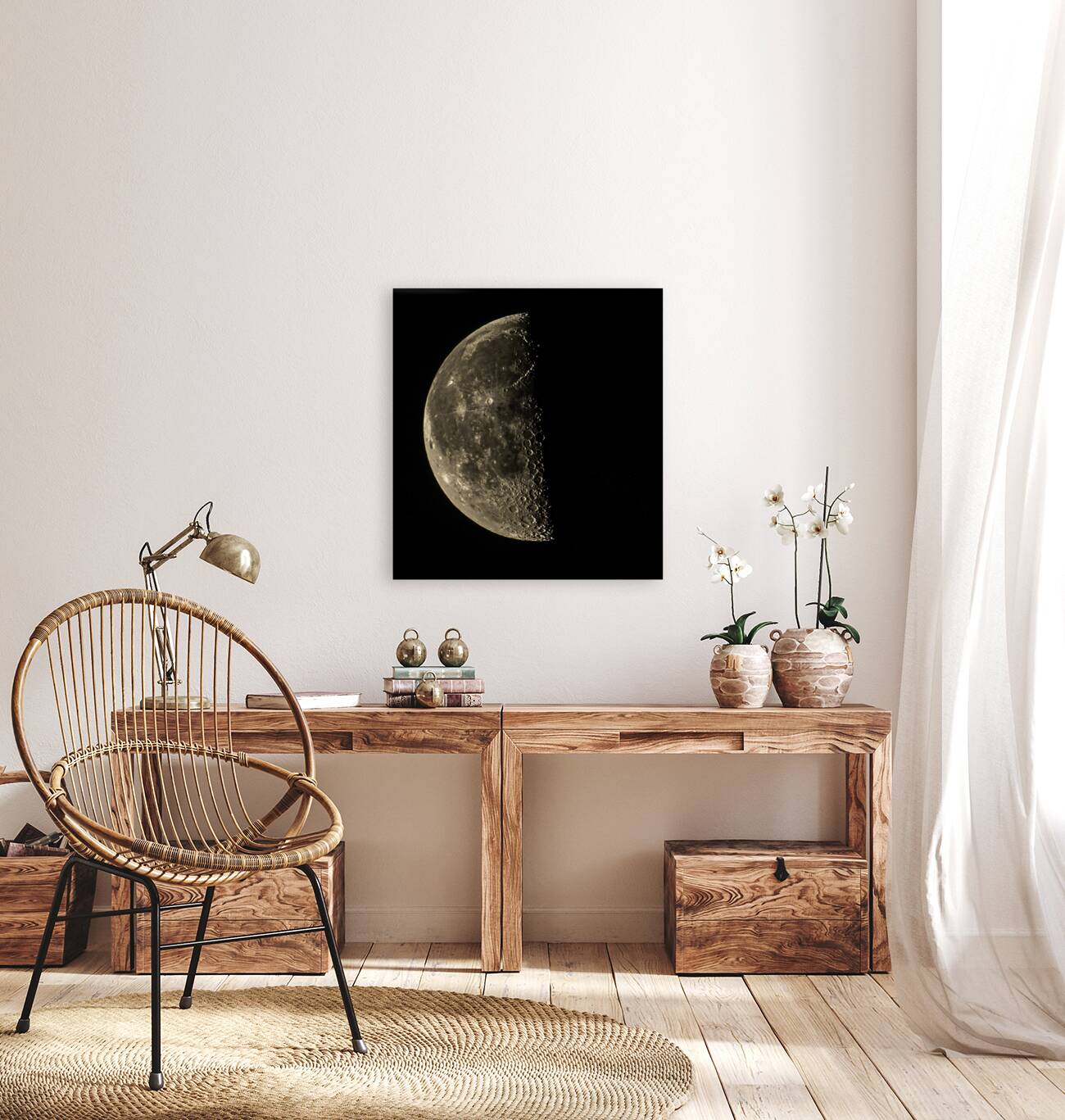 JBS 8184 Reproduction