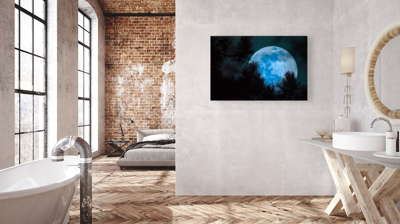 JBS 0093  Reproduction