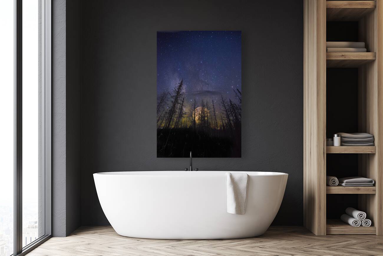 JBS 07652 Reproduction