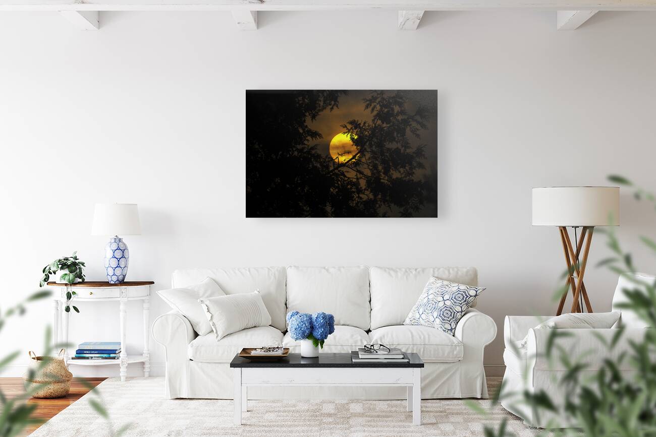 JBS 3573  Reproduction