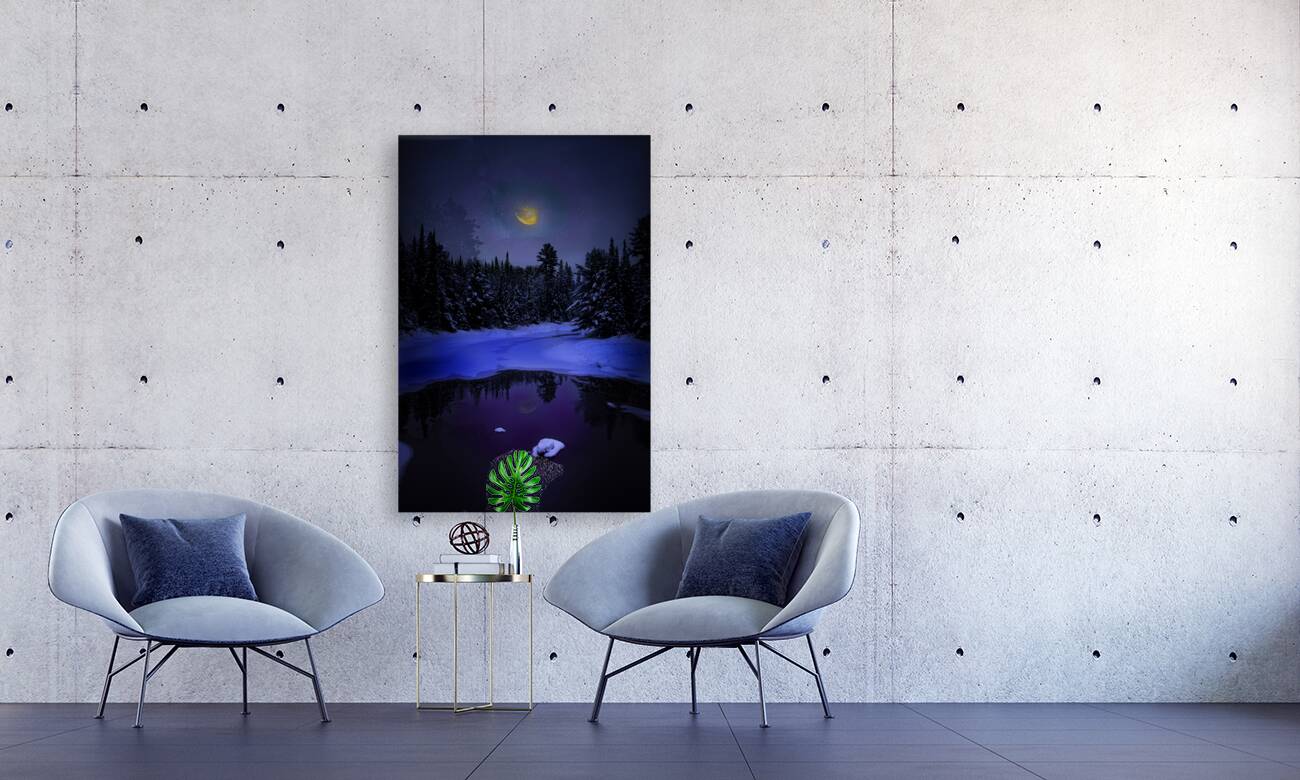 JBS 4529 2  Reproduction