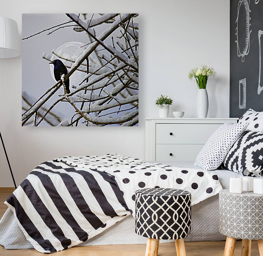 JBS 0164  Reproduction