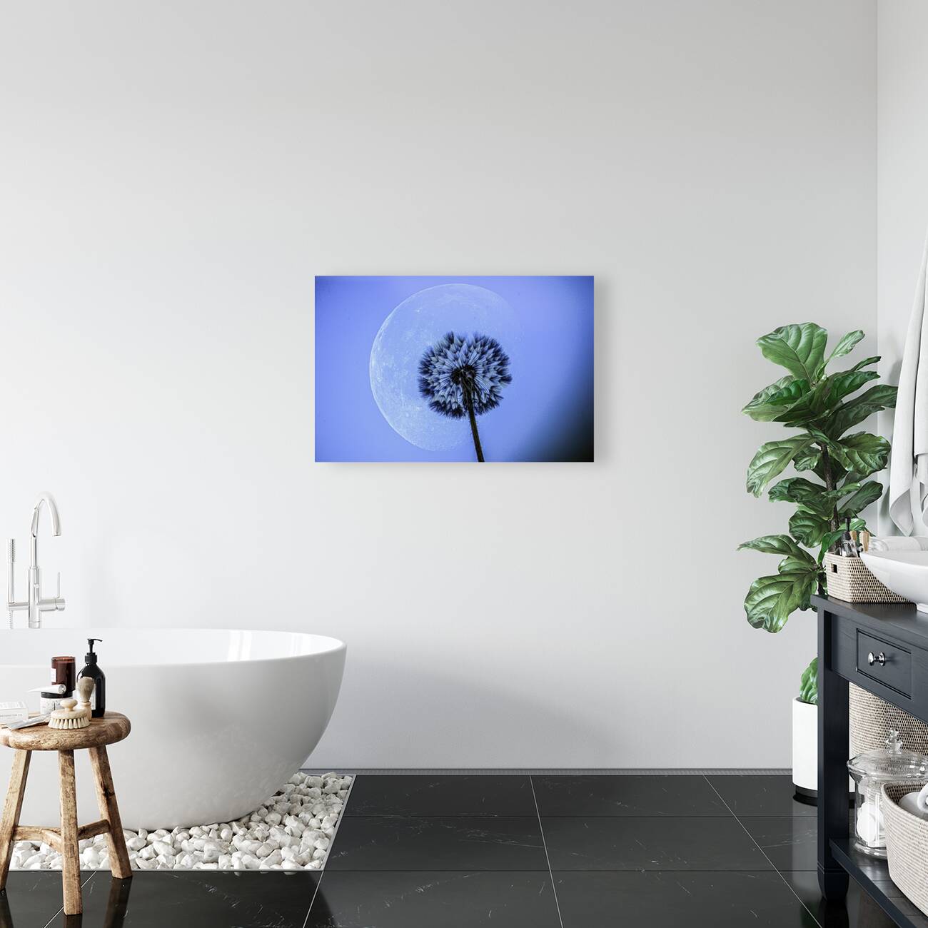 JBS 1373  Reproduction