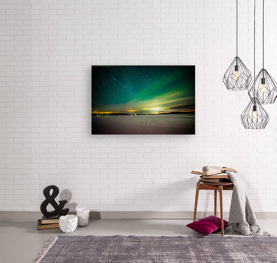 JBS 8511  Reproduction