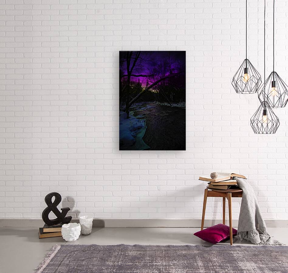 JBS 9933  Reproduction