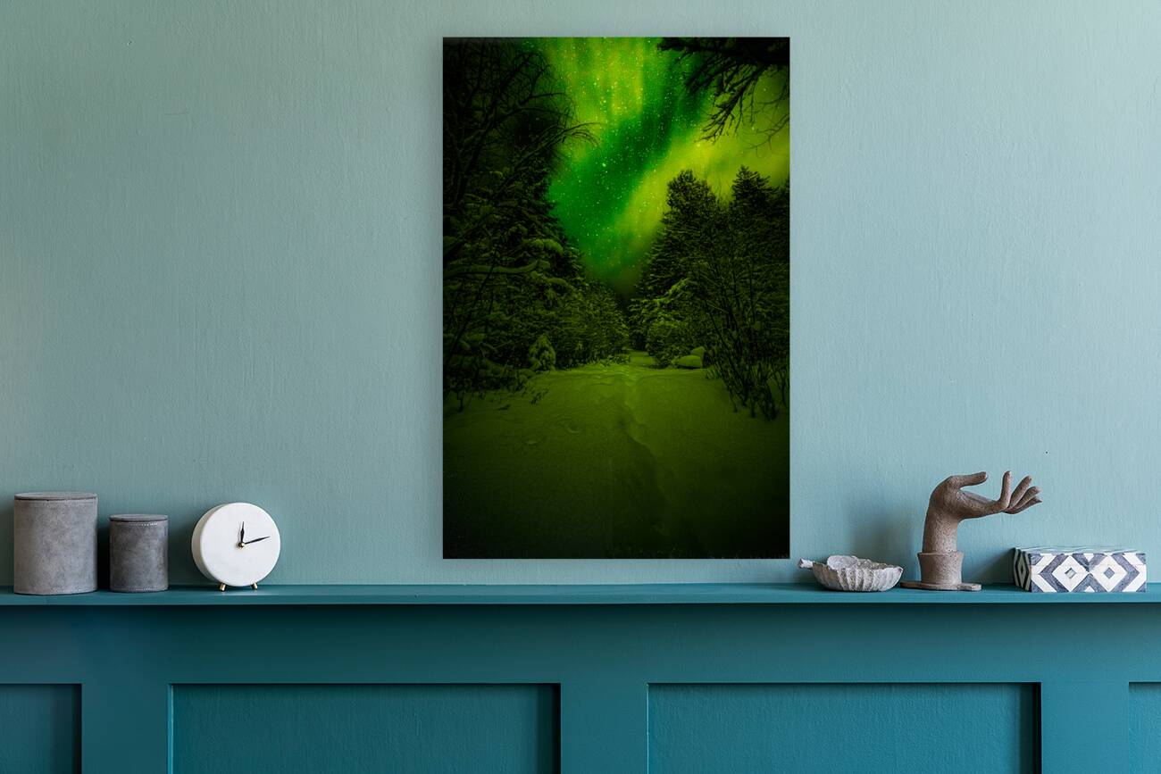 Z62 0234 2  Reproduction