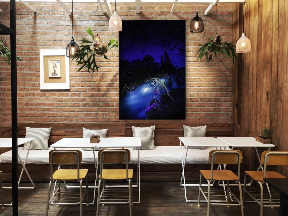 JBS 0689  Reproduction