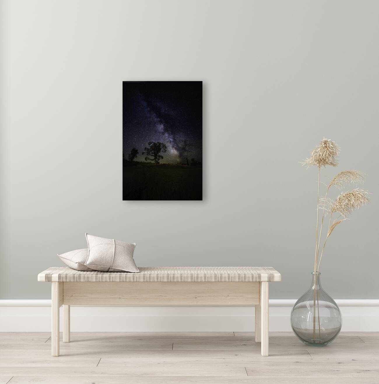 JBS 3446 Reproduction