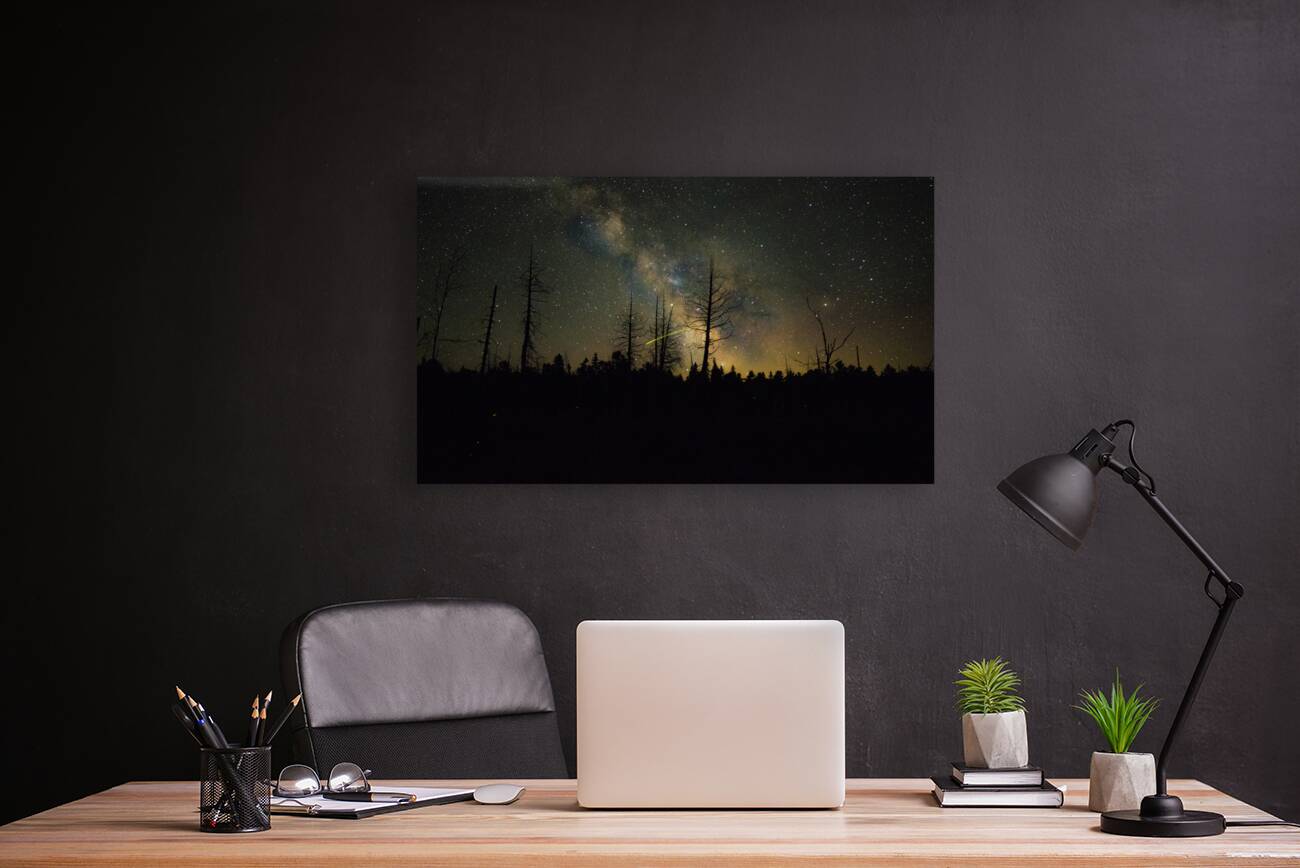 JBS 1459 Reproduction