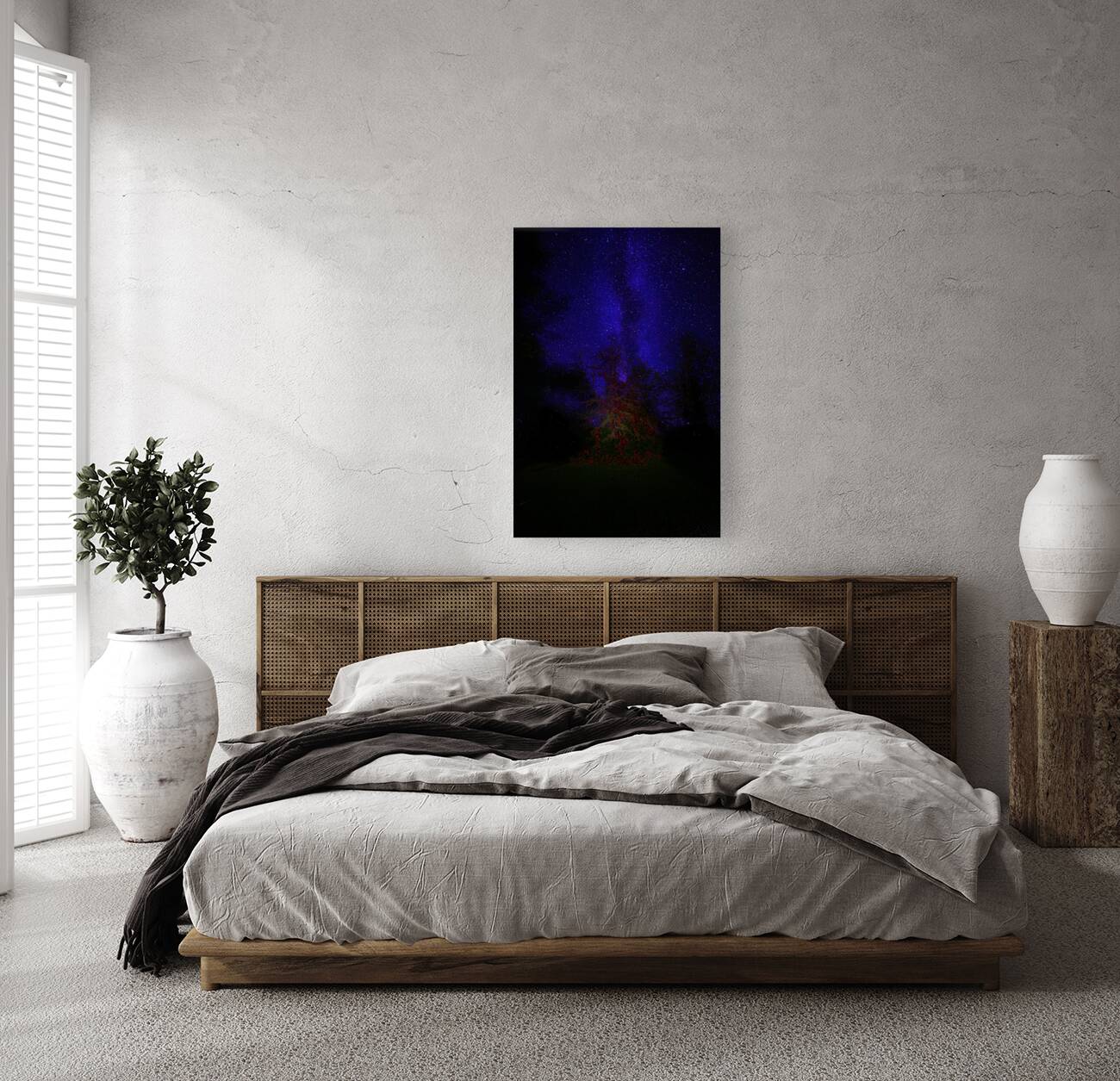 JBS 3648  Reproduction