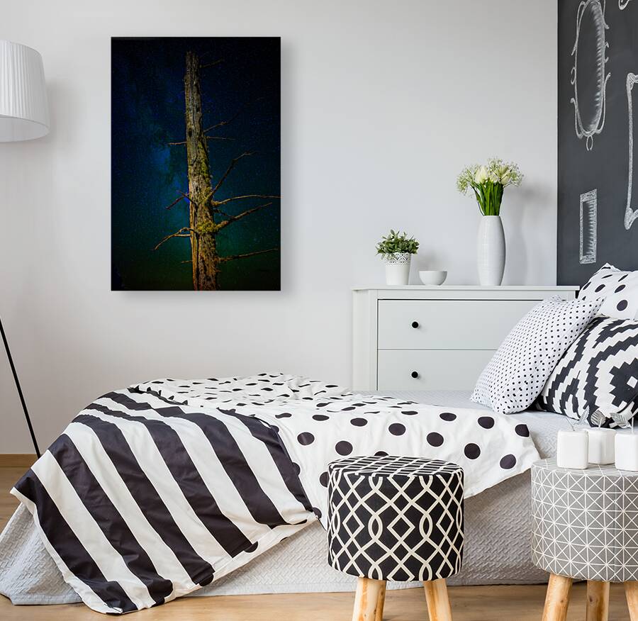 JBS 0996 Reproduction