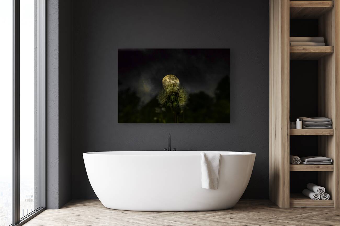 JBS 4984 1 Reproduction