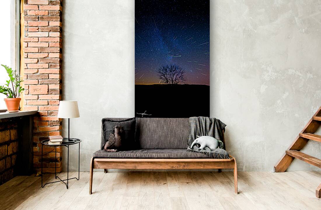 JBS 4027  Reproduction