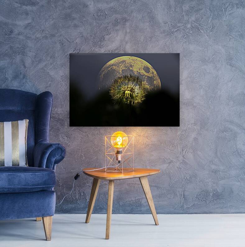 JBS 4981 2 Reproduction