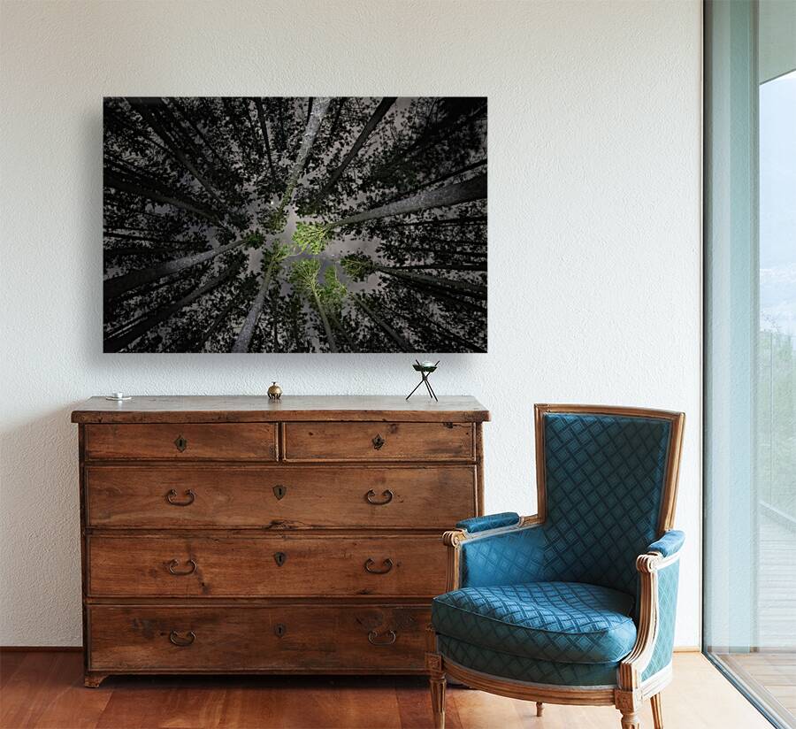 JBS 5553  Reproduction