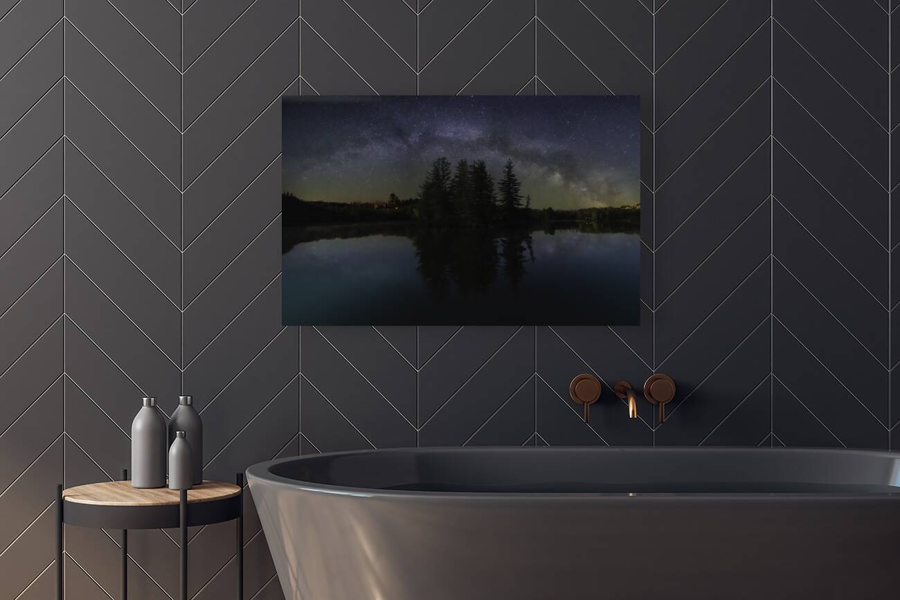 JBS 4808 Reproduction