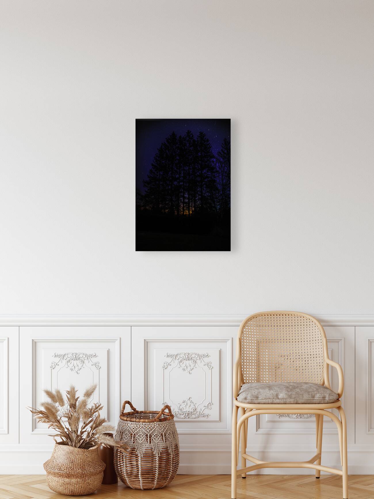 JBS 4719  Reproduction