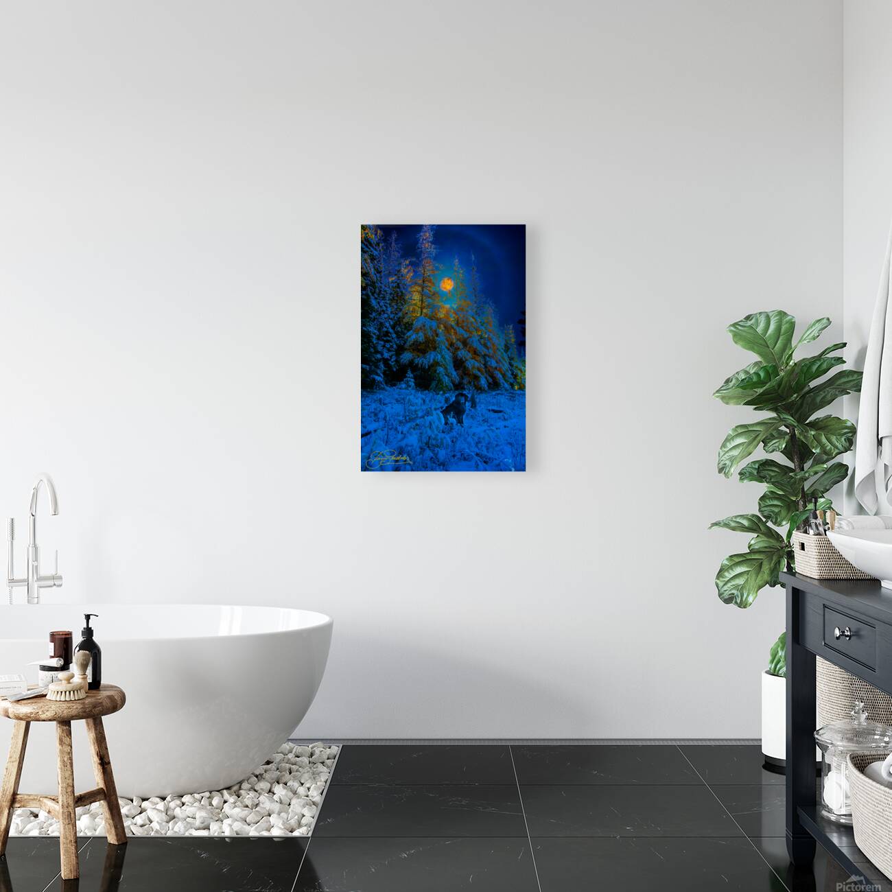 JBS 4968  Reproduction